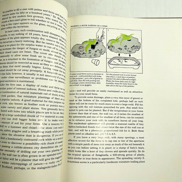 Ferns Time Life Encyclopedia of Gardening u 1977 How to Grow Ferns Hardcover - Picture 7 of 8